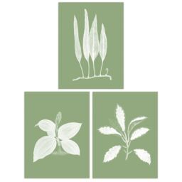 Artery8 Wall Art Print Pack of 3 A4 Sage Green Tree Plant Detailed Foliage Xray Im Monochrome Botanical Living Room s Set - thumbnail 1
