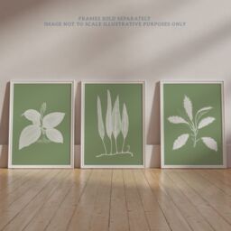 Artery8 Wall Art Print Pack of 3 A4 Sage Green Tree Plant Detailed Foliage Xray Im Monochrome Botanical Living Room s Set - thumbnail 6