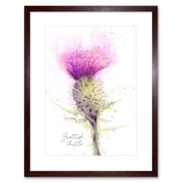Artery8 Scottish Thisle Scotland National Flower Bright Floral Watercolour Illustration Framed Wall Art Print Picture 12X16 inch in Brown - thumbnail 1