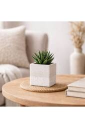KDMD Hortus White Bordeaux Stoneware Cube 12.5cm H x 12.5cm W - Size: 12.5 cm H x 12.5 cm W - thumbnail 5