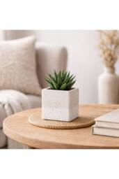 KDMD Hortus White Bordeaux Stoneware Cube 12.5cm H x 12.5cm W - Size: 12.5 cm H x 12.5 cm W - thumbnail 4