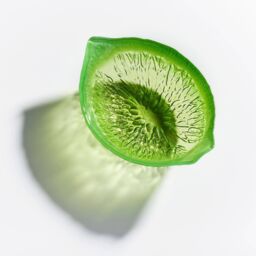 Sienna Glass Glass Bowl Lime Design in Bright Green - thumbnail 4