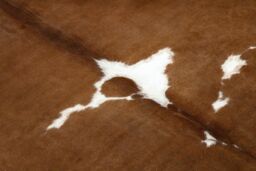 RugsX Cow Hide Rug in Brown - Size: 100 cm x 150 cm - thumbnail 5