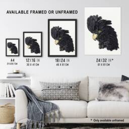 "Artery8 Head of a Black Cockatoo Watercolour Schouman Framed Wall Art Print in White - Size: W12"" x H16""" - thumbnail 3