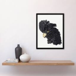 "Artery8 Head of a Black Cockatoo Watercolour Schouman Framed Wall Art Print in White - Size: W12"" x H16""" - thumbnail 4