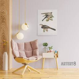 "Artery8 James De Kay Pigeon Hawk & Coopers Hawk Canvas Wall Art Print in White - Size: W12"" x H16""" - thumbnail 3