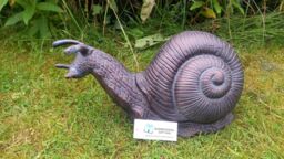 Inspirational Gifting Giant Garden Snail Garden Ornament Sculpture in an Antique Bronze Finish - thumbnail 2