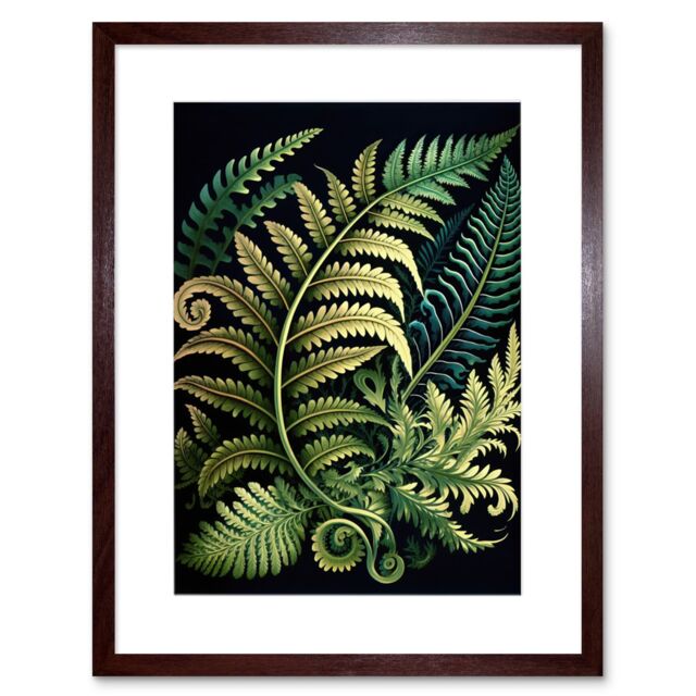 "Artery8 Wall Art Print Ernst Haeckel Style Fern Fronds Leaf Artwork Framed 9X7 Inch in Brown - Size: W7"" x H9""" - image 1