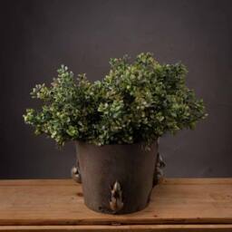 Lemon Pavilion Furniture and Decor Red Tipped Leaf Spray Artificial Plant, L26 x W26 x H39 cm - Green/Red in Green - thumbnail 1