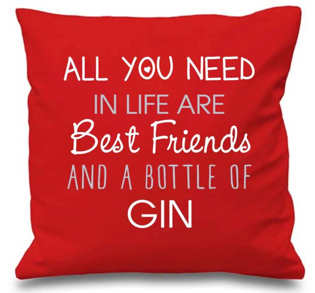 "60 SECOND MAKEOVER Cushion Cover All You Need In Life Are Best Friends & A Bottle Of Gin 16"" x 16"" in Red - Size: 40 cm x 40 cm"