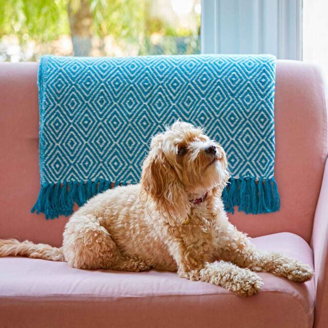 Paper High Diamond Cotton Throw in Turquoise - image 1