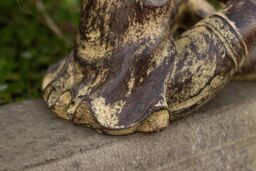 Marco Paul Sitting with Fairy Resin Statue in Brown - thumbnail 4