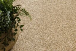 RugsX Wall-To-Wall Rug in Gold - Size: 100 cm x 150 cm - thumbnail 4