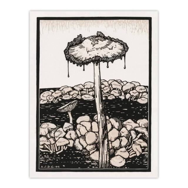 "Artery8 Dripping Mushroom Painting Vintage Wall Art Print Julie de Graag in Beige - Size: W12"" x H16""" - image 1