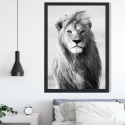 ARTZE Regal Lion Animal Black & White Photo Framed Print SIZE: A3 with Black Frame - Size: A4 - thumbnail 2