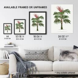 "Artery8 Kentiopsis Macrocarpa Palm Tree Kerchove Framed Wall Art Print in White - Size: W12"" x H16""" - thumbnail 3