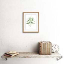 "Artery8 Wall Art Print Fern Polypodium Grandidens Art Framed 9x7 inch in Beige - Size: W7"" x H9""" - thumbnail 2