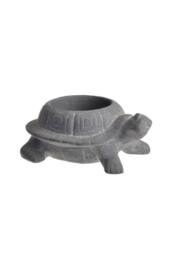 KDMD Tortoise Cement Planter Grey Indoor Planter - thumbnail 2