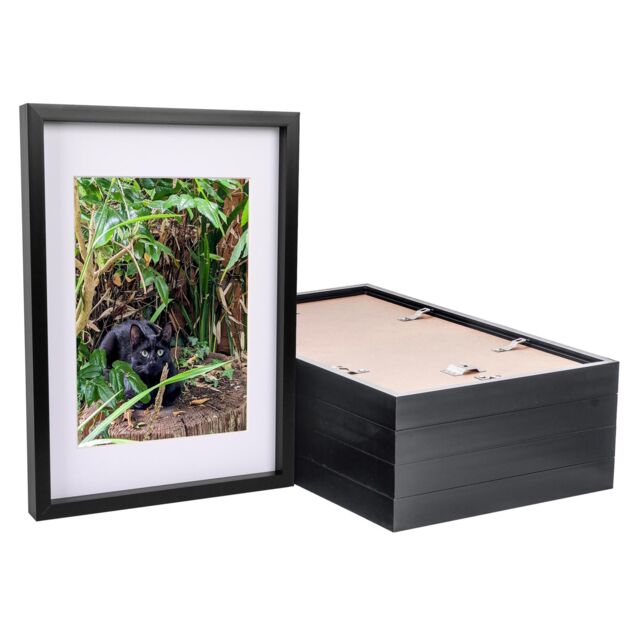 "Nicola Spring 3D Box Photo Frames with A4 Mounts - A3 (12"" x 17"") - White Mount - Pack of 5 in Black" - image 1