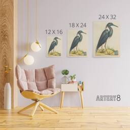 "Artery8 Blue Heron Natural History Illustration Catesby Canvas Wall Art in Beige - Size: W18"" x H24""" - thumbnail 4