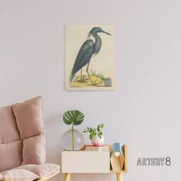 "Artery8 Blue Heron Natural History Illustration Catesby Canvas Wall Art in Beige - Size: W18"" x H24""" - thumbnail 3
