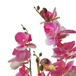 Leaf 70cm Artificial Orchid Light Pink with Black Ceramic Planter - thumbnail 3