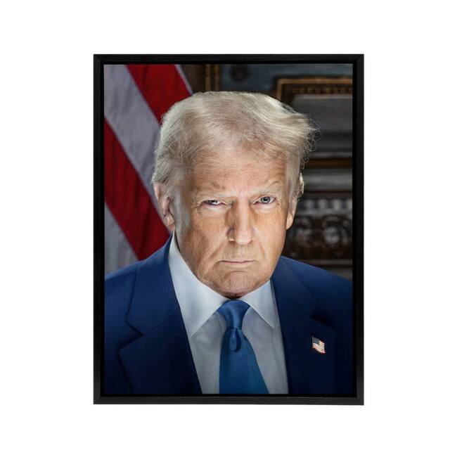 "Artery8 United States 47th President Donald Trump Framed Canvas Wall Art Print in Blue - Size: W12"" x H16""" - image 1