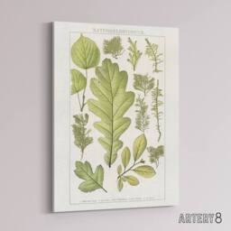 "Artery8 Plant Lover Leaves Brockhaus Lexikon Vintage Canvas Wall Art in White - Size: W18"" x H24""" - thumbnail 2