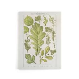 "Artery8 Plant Lover Leaves Brockhaus Lexikon Vintage Canvas Wall Art in White - Size: W18"" x H24""" - thumbnail 1
