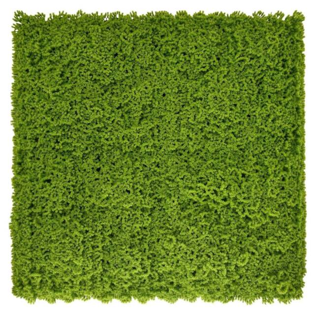 Ark Mat Moss Artificial Plant Wall Panel 1x1m - Indoor & Outdoor Use in Green - image 1