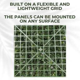 Ark Mat Moss Artificial Plant Wall Panel 1x1m - Indoor & Outdoor Use in Green - thumbnail 7