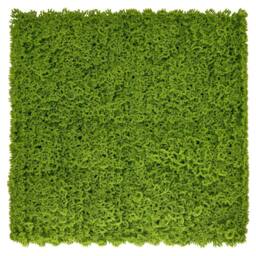 Ark Mat Moss Artificial Plant Wall Panel 1x1m - Indoor & Outdoor Use in Green - thumbnail 1