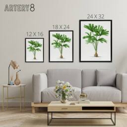 "Artery8 Licuala Spinosa Palm Tree Oswald de Kerchove Framed Canvas Wall Art in White - Size: W12"" x H16""" - thumbnail 4