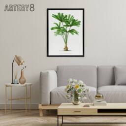 "Artery8 Licuala Spinosa Palm Tree Oswald de Kerchove Framed Canvas Wall Art in White - Size: W12"" x H16""" - thumbnail 3