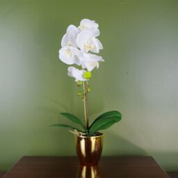 Leaf 46cm Artificial Orchid White / Gold