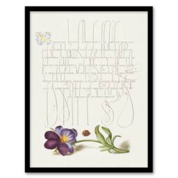 Artery8 Model Book of Calligraphy Framed Wall Art Ladybird & Wild Pansy in White - Size: A4 - thumbnail 1