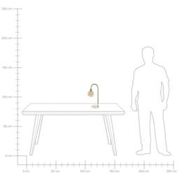 Wyld and Coco Gold Table Lamp - Steel Frame with Glass Shade Modern Glam - thumbnail 7