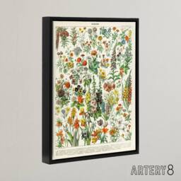 "Artery8 Millot Encyclopedia Page Flowers Plants Framed Canvas Wall Art Print - Size: W12"" x H16""" - thumbnail 2