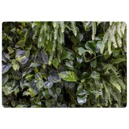 Benjamin Tate Design Urban Jungle, Modern Interior Decoration Designer Rug in Natural - Size: Large - thumbnail 1