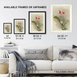 "Artery8 F Sander Phaius Hybridus Cooksonii Orchid Flowers Wall Art Print - Size: W12"" x H16""" - thumbnail 3