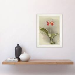 "Artery8 F Sander Phaius Hybridus Cooksonii Orchid Flowers Wall Art Print - Size: W12"" x H16""" - thumbnail 4