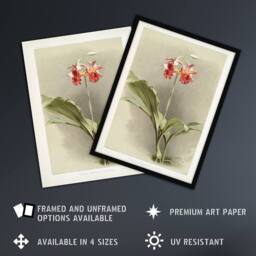 "Artery8 F Sander Phaius Hybridus Cooksonii Orchid Flowers Wall Art Print - Size: W12"" x H16""" - thumbnail 2
