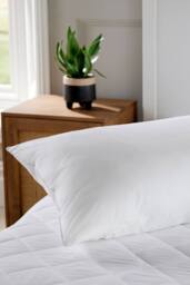 CHRISTY Classic Filled Hollowfibre Medium Firm King Pillow in White - thumbnail 2