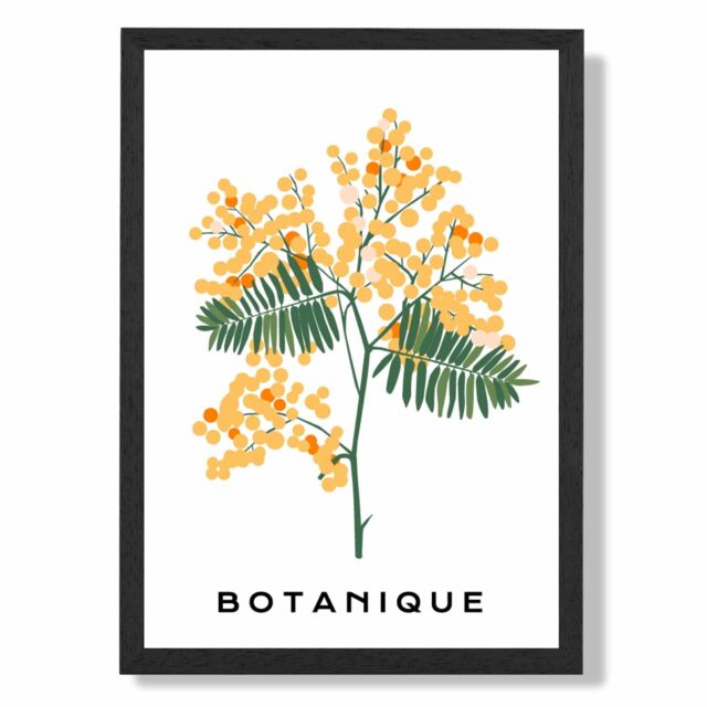 ARTZE Yellow Mimosa Plant Flower Market Spring Framed Print SIZE: A3 with Black Frame - Size: A4 - image 1