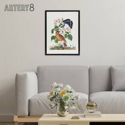 "Artery8 Spotted Flycatcher & Purple Emperor Bolton Black Framed Canvas Art in White - Size: W12"" x H16""" - thumbnail 3