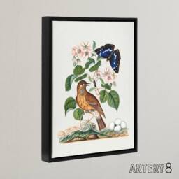 "Artery8 Spotted Flycatcher & Purple Emperor Bolton Black Framed Canvas Art in White - Size: W12"" x H16""" - thumbnail 2
