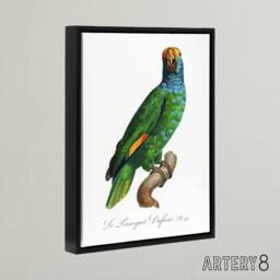 "Artery8 The Blue Cheeked Amazon Parrot Levaillant Framed Canvas Wall Art Print in White - Size: W12"" x H16""" - thumbnail 2