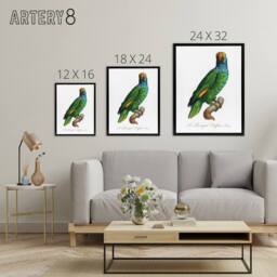 "Artery8 The Blue Cheeked Amazon Parrot Levaillant Framed Canvas Wall Art Print in White - Size: W12"" x H16""" - thumbnail 4
