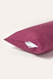 Homescapes Continental Egyptian Cotton Pillowcase 200 TC, 80 x 80 cm in Plum - thumbnail 3