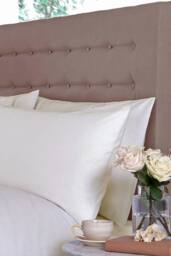 Martex Ivory Bolster Pillowcase Cotton Percale - Sestina 100% Cotton Bolster - Size: Single - thumbnail 1